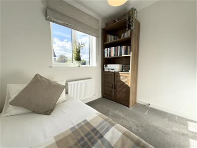 Picture 29